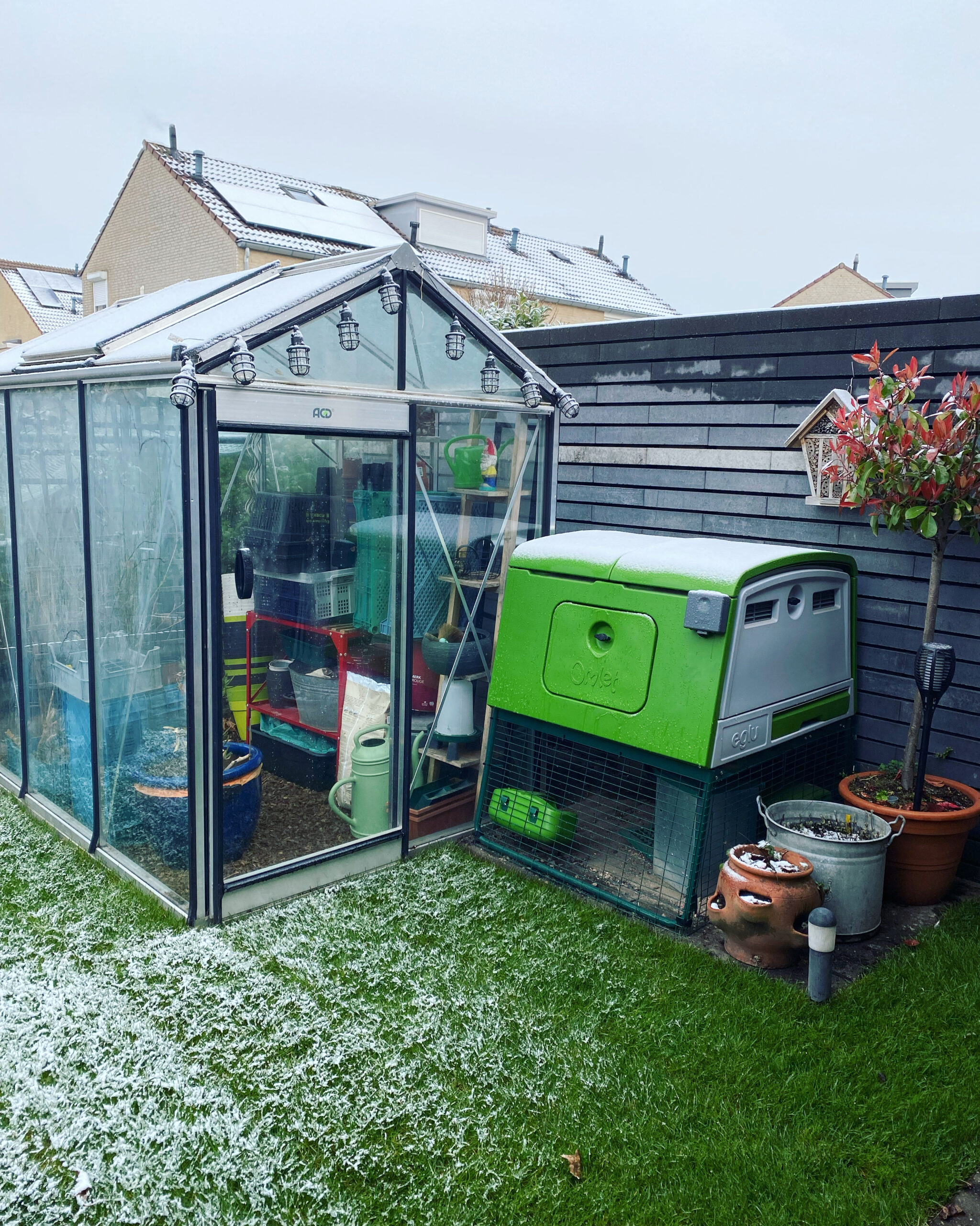 Tijd Voor Een Nieuw Kippenhok - Mijn Moestuin, Mijn Passie