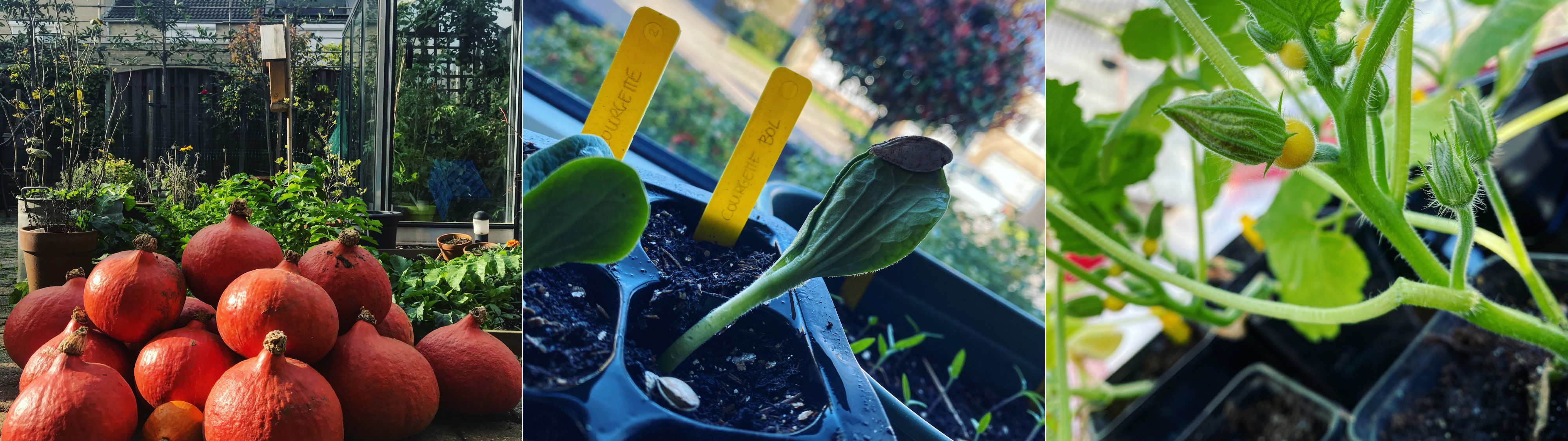 Mijn Moestuin, Mijn Passie