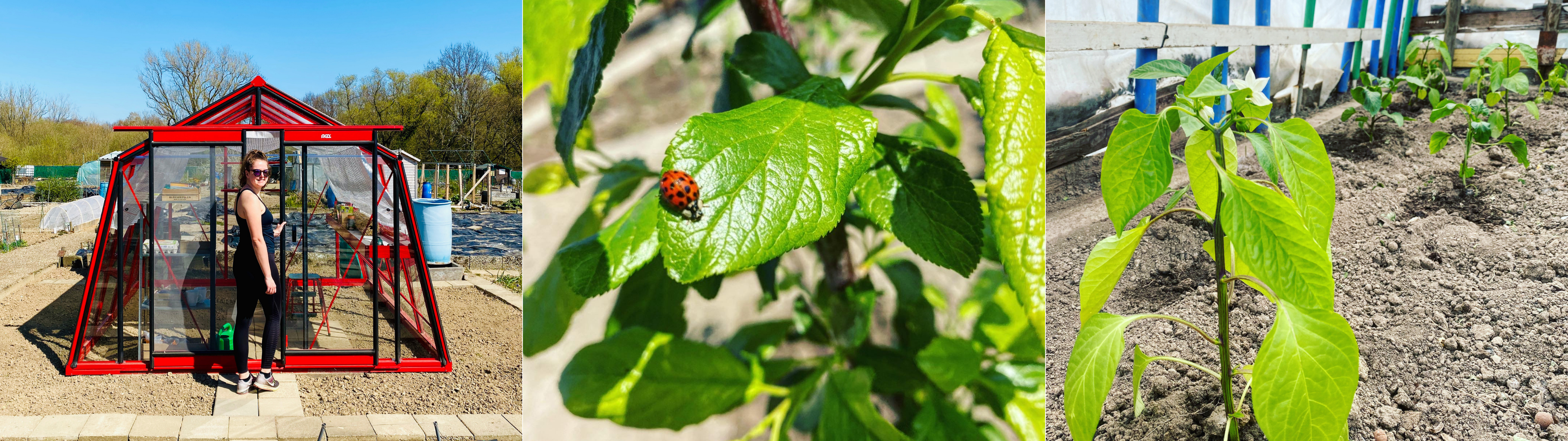 Mijn Moestuin, Mijn Passie